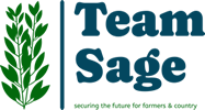 Team Sage Nigeria